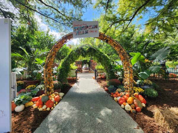 Oklahoma City Myriad Gardens Pumpkinville Fall and Halloween activities in Oklahoma CIty